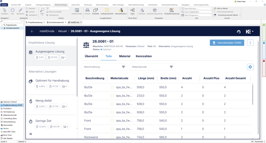 Business ERP / Smart ERP