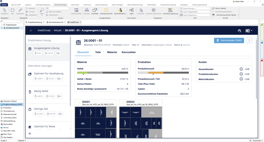 Business ERP / Smart ERP