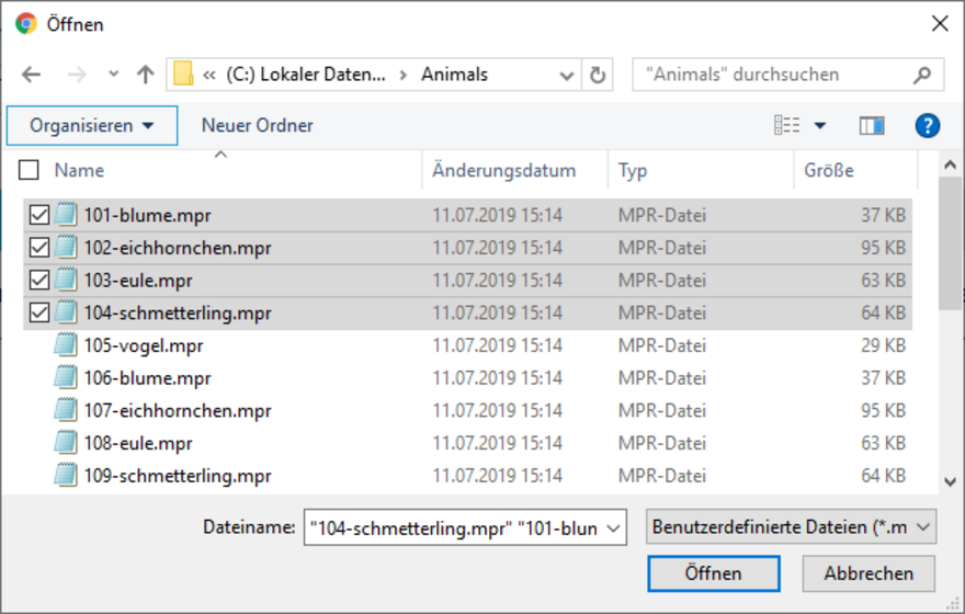 Auswahl der MPR(X)-Dateien